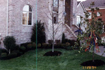Pine Haven Landscaping